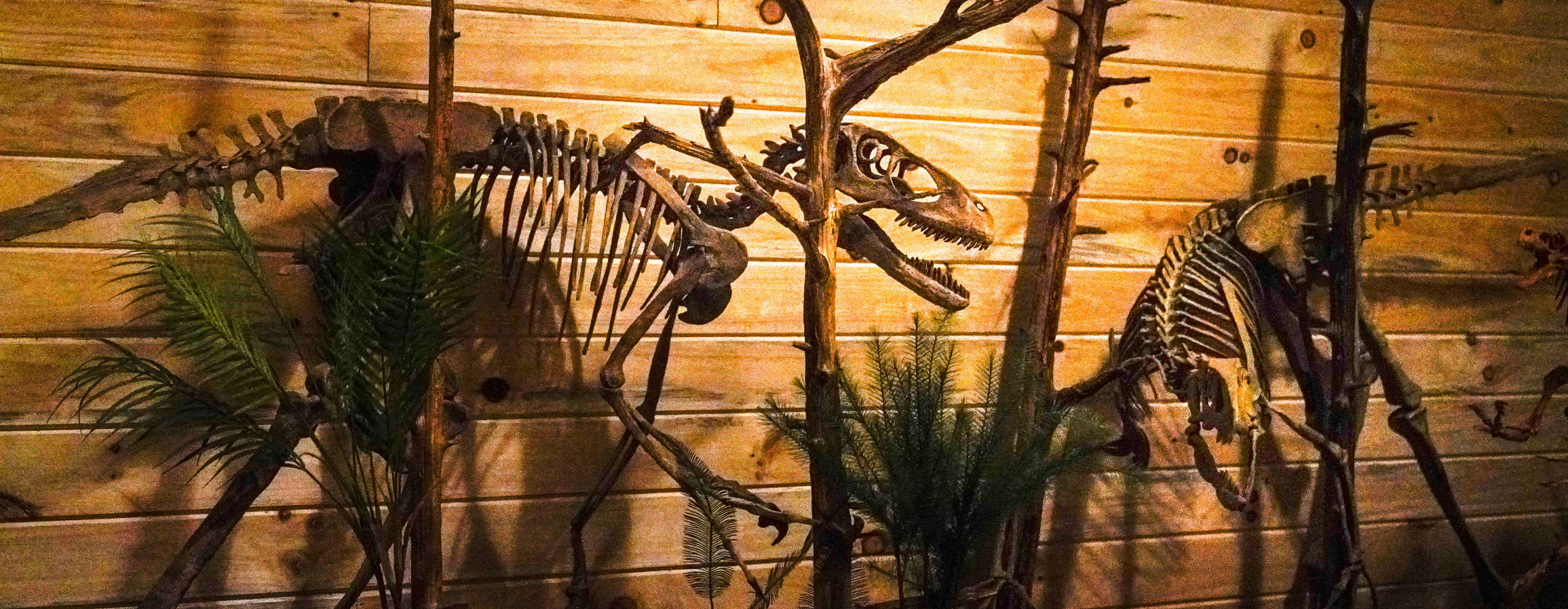 A dinosaur's walk in the woods